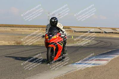media/Nov-06-2023-Lets Ride (Mon) [[98fce14742]]/A Group/2pm (Wheelie Bump)/